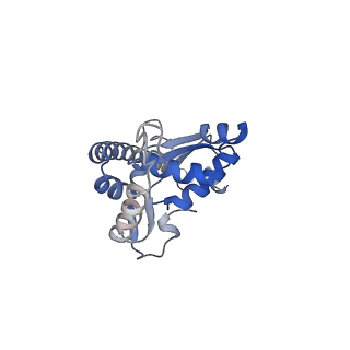 16702_8cku_A_v1-5
Translocation intermediate 1 (TI-1*) of 80S S. cerevisiae ribosome with ligands and eEF2 in the absence of sordarin