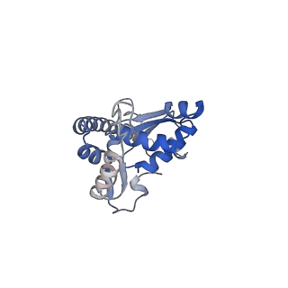 16702_8cku_A_v1-6
Translocation intermediate 1 (TI-1*) of 80S S. cerevisiae ribosome with ligands and eEF2 in the absence of sordarin