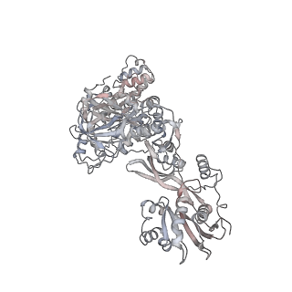 16702_8cku_Aa_v1-5
Translocation intermediate 1 (TI-1*) of 80S S. cerevisiae ribosome with ligands and eEF2 in the absence of sordarin