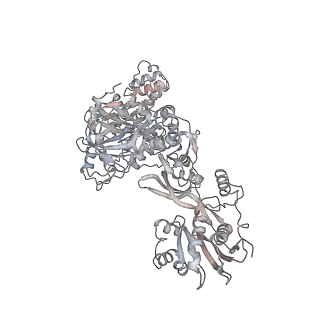 16702_8cku_Aa_v1-6
Translocation intermediate 1 (TI-1*) of 80S S. cerevisiae ribosome with ligands and eEF2 in the absence of sordarin