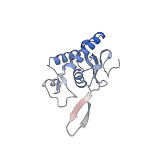 16702_8cku_B_v1-5
Translocation intermediate 1 (TI-1*) of 80S S. cerevisiae ribosome with ligands and eEF2 in the absence of sordarin