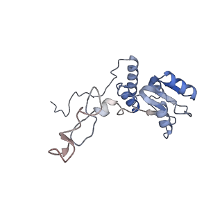 16702_8cku_C_v1-6
Translocation intermediate 1 (TI-1*) of 80S S. cerevisiae ribosome with ligands and eEF2 in the absence of sordarin