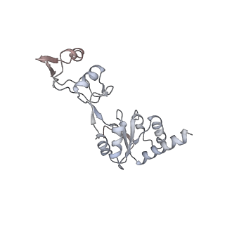 16702_8cku_DD_v1-5
Translocation intermediate 1 (TI-1*) of 80S S. cerevisiae ribosome with ligands and eEF2 in the absence of sordarin