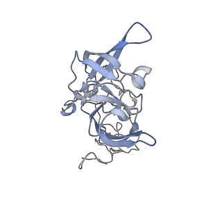 16702_8cku_EE_v1-5
Translocation intermediate 1 (TI-1*) of 80S S. cerevisiae ribosome with ligands and eEF2 in the absence of sordarin