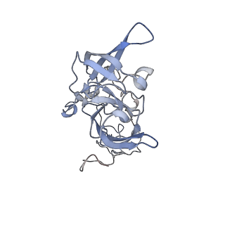 16702_8cku_EE_v1-6
Translocation intermediate 1 (TI-1*) of 80S S. cerevisiae ribosome with ligands and eEF2 in the absence of sordarin