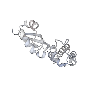 16702_8cku_Ee_v1-5
Translocation intermediate 1 (TI-1*) of 80S S. cerevisiae ribosome with ligands and eEF2 in the absence of sordarin