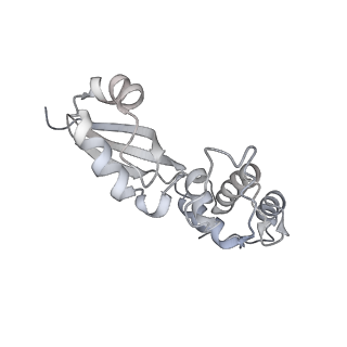 16702_8cku_Ee_v1-6
Translocation intermediate 1 (TI-1*) of 80S S. cerevisiae ribosome with ligands and eEF2 in the absence of sordarin