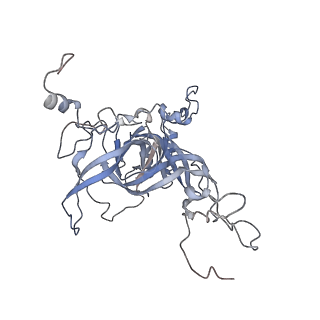 16702_8cku_FF_v1-5
Translocation intermediate 1 (TI-1*) of 80S S. cerevisiae ribosome with ligands and eEF2 in the absence of sordarin