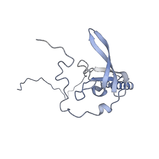 16702_8cku_F_v1-5
Translocation intermediate 1 (TI-1*) of 80S S. cerevisiae ribosome with ligands and eEF2 in the absence of sordarin