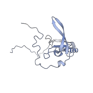 16702_8cku_F_v1-6
Translocation intermediate 1 (TI-1*) of 80S S. cerevisiae ribosome with ligands and eEF2 in the absence of sordarin