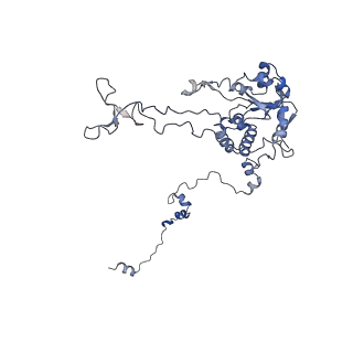 16702_8cku_GG_v1-5
Translocation intermediate 1 (TI-1*) of 80S S. cerevisiae ribosome with ligands and eEF2 in the absence of sordarin