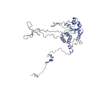 16702_8cku_GG_v1-6
Translocation intermediate 1 (TI-1*) of 80S S. cerevisiae ribosome with ligands and eEF2 in the absence of sordarin