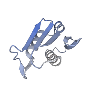 16702_8cku_G_v1-6
Translocation intermediate 1 (TI-1*) of 80S S. cerevisiae ribosome with ligands and eEF2 in the absence of sordarin