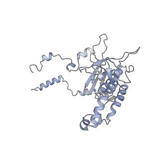 16702_8cku_HH_v1-6
Translocation intermediate 1 (TI-1*) of 80S S. cerevisiae ribosome with ligands and eEF2 in the absence of sordarin