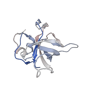 16702_8cku_H_v1-6
Translocation intermediate 1 (TI-1*) of 80S S. cerevisiae ribosome with ligands and eEF2 in the absence of sordarin