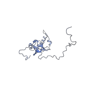 16702_8cku_II_v1-5
Translocation intermediate 1 (TI-1*) of 80S S. cerevisiae ribosome with ligands and eEF2 in the absence of sordarin