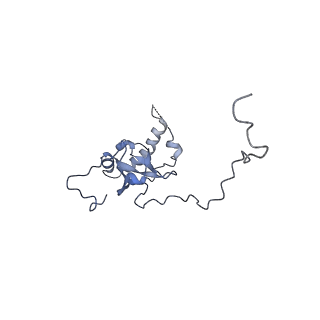 16702_8cku_II_v1-6
Translocation intermediate 1 (TI-1*) of 80S S. cerevisiae ribosome with ligands and eEF2 in the absence of sordarin