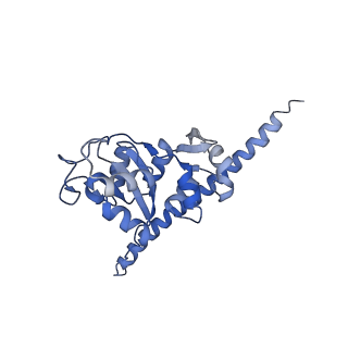 16702_8cku_JJ_v1-5
Translocation intermediate 1 (TI-1*) of 80S S. cerevisiae ribosome with ligands and eEF2 in the absence of sordarin