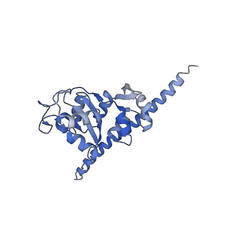 16702_8cku_JJ_v1-6
Translocation intermediate 1 (TI-1*) of 80S S. cerevisiae ribosome with ligands and eEF2 in the absence of sordarin