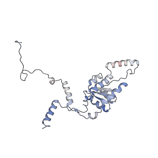 16702_8cku_KK_v1-5
Translocation intermediate 1 (TI-1*) of 80S S. cerevisiae ribosome with ligands and eEF2 in the absence of sordarin