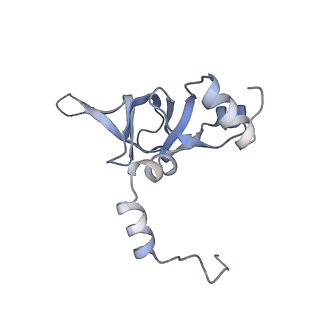 16702_8cku_K_v1-5
Translocation intermediate 1 (TI-1*) of 80S S. cerevisiae ribosome with ligands and eEF2 in the absence of sordarin