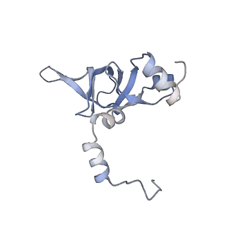 16702_8cku_K_v1-6
Translocation intermediate 1 (TI-1*) of 80S S. cerevisiae ribosome with ligands and eEF2 in the absence of sordarin