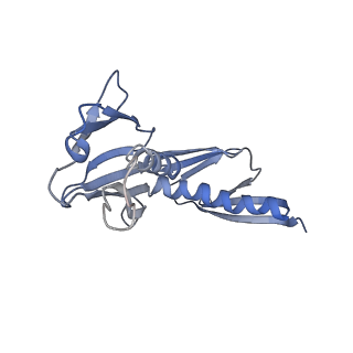 16702_8cku_LL_v1-5
Translocation intermediate 1 (TI-1*) of 80S S. cerevisiae ribosome with ligands and eEF2 in the absence of sordarin