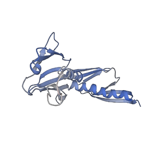 16702_8cku_LL_v1-6
Translocation intermediate 1 (TI-1*) of 80S S. cerevisiae ribosome with ligands and eEF2 in the absence of sordarin