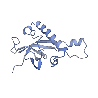 16702_8cku_L_v1-6
Translocation intermediate 1 (TI-1*) of 80S S. cerevisiae ribosome with ligands and eEF2 in the absence of sordarin