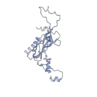 16702_8cku_MM_v1-6
Translocation intermediate 1 (TI-1*) of 80S S. cerevisiae ribosome with ligands and eEF2 in the absence of sordarin