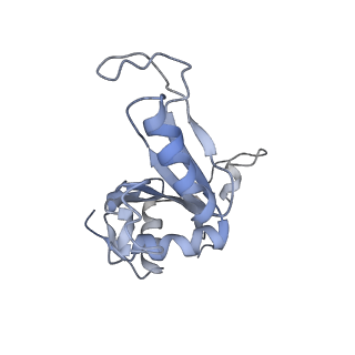 16702_8cku_NN_v1-6
Translocation intermediate 1 (TI-1*) of 80S S. cerevisiae ribosome with ligands and eEF2 in the absence of sordarin