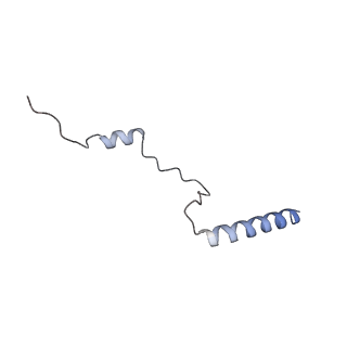 16702_8cku_N_v1-6
Translocation intermediate 1 (TI-1*) of 80S S. cerevisiae ribosome with ligands and eEF2 in the absence of sordarin