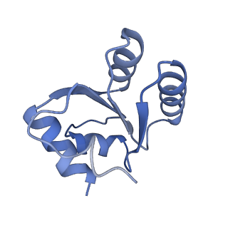 16702_8cku_O_v1-6
Translocation intermediate 1 (TI-1*) of 80S S. cerevisiae ribosome with ligands and eEF2 in the absence of sordarin