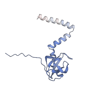 16702_8cku_PP_v1-6
Translocation intermediate 1 (TI-1*) of 80S S. cerevisiae ribosome with ligands and eEF2 in the absence of sordarin