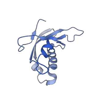 16702_8cku_P_v1-6
Translocation intermediate 1 (TI-1*) of 80S S. cerevisiae ribosome with ligands and eEF2 in the absence of sordarin