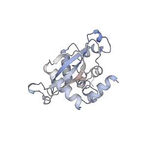 16702_8cku_QQ_v1-5
Translocation intermediate 1 (TI-1*) of 80S S. cerevisiae ribosome with ligands and eEF2 in the absence of sordarin