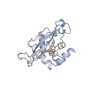 16702_8cku_QQ_v1-6
Translocation intermediate 1 (TI-1*) of 80S S. cerevisiae ribosome with ligands and eEF2 in the absence of sordarin