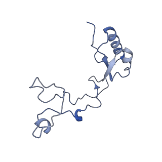 16702_8cku_Q_v1-5
Translocation intermediate 1 (TI-1*) of 80S S. cerevisiae ribosome with ligands and eEF2 in the absence of sordarin