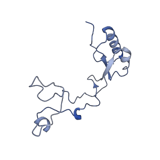 16702_8cku_Q_v1-6
Translocation intermediate 1 (TI-1*) of 80S S. cerevisiae ribosome with ligands and eEF2 in the absence of sordarin