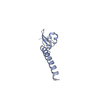 16702_8cku_S_v1-6
Translocation intermediate 1 (TI-1*) of 80S S. cerevisiae ribosome with ligands and eEF2 in the absence of sordarin