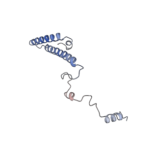 16702_8cku_T_v1-6
Translocation intermediate 1 (TI-1*) of 80S S. cerevisiae ribosome with ligands and eEF2 in the absence of sordarin