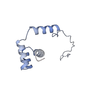 16702_8cku_U_v1-6
Translocation intermediate 1 (TI-1*) of 80S S. cerevisiae ribosome with ligands and eEF2 in the absence of sordarin