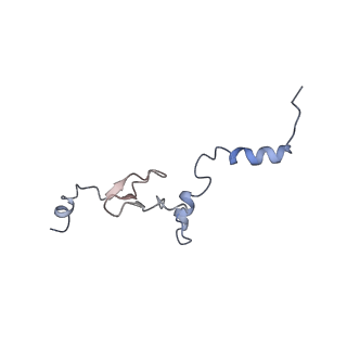 16702_8cku_V_v1-6
Translocation intermediate 1 (TI-1*) of 80S S. cerevisiae ribosome with ligands and eEF2 in the absence of sordarin