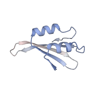 16702_8cku_W_v1-6
Translocation intermediate 1 (TI-1*) of 80S S. cerevisiae ribosome with ligands and eEF2 in the absence of sordarin