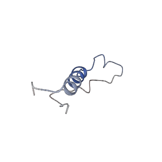 16702_8cku_X_v1-6
Translocation intermediate 1 (TI-1*) of 80S S. cerevisiae ribosome with ligands and eEF2 in the absence of sordarin