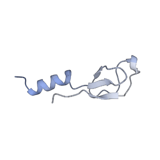 16702_8cku_Y_v1-5
Translocation intermediate 1 (TI-1*) of 80S S. cerevisiae ribosome with ligands and eEF2 in the absence of sordarin