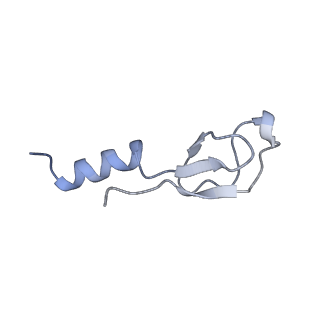 16702_8cku_Y_v1-6
Translocation intermediate 1 (TI-1*) of 80S S. cerevisiae ribosome with ligands and eEF2 in the absence of sordarin