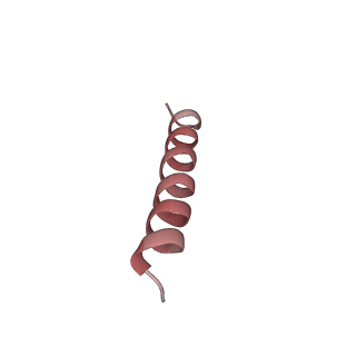 16702_8cku_Z_v1-6
Translocation intermediate 1 (TI-1*) of 80S S. cerevisiae ribosome with ligands and eEF2 in the absence of sordarin