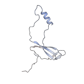 16702_8cku_a_v1-5
Translocation intermediate 1 (TI-1*) of 80S S. cerevisiae ribosome with ligands and eEF2 in the absence of sordarin