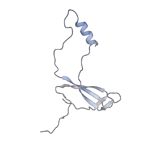 16702_8cku_a_v1-6
Translocation intermediate 1 (TI-1*) of 80S S. cerevisiae ribosome with ligands and eEF2 in the absence of sordarin